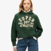 Athletic Essentials Φούτερ με κουκούλα και απλικέ Athletic Essentials Φούτερ με κουκούλα και απλικέ