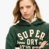 Athletic Essentials Φούτερ με κουκούλα και απλικέ Athletic Essentials Φούτερ με κουκούλα και απλικέ