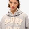 Athletic Essentials Φούτερ με κουκούλα και απλικέ