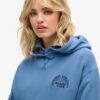 Φούτερ με κουκούλα Athletic Essentials