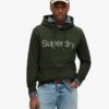 Φούτερ με κουκούλα Core Logo City Loose Fit