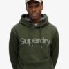 Φούτερ με κουκούλα Core Logo City Loose Fit