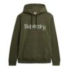 Φούτερ με κουκούλα Core Logo City Loose Fit