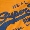 Κολλητό T-shirt με κεντημένο Vintage λογότυπο