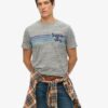 T-shirt Terrain με ριγέ λογότυπο